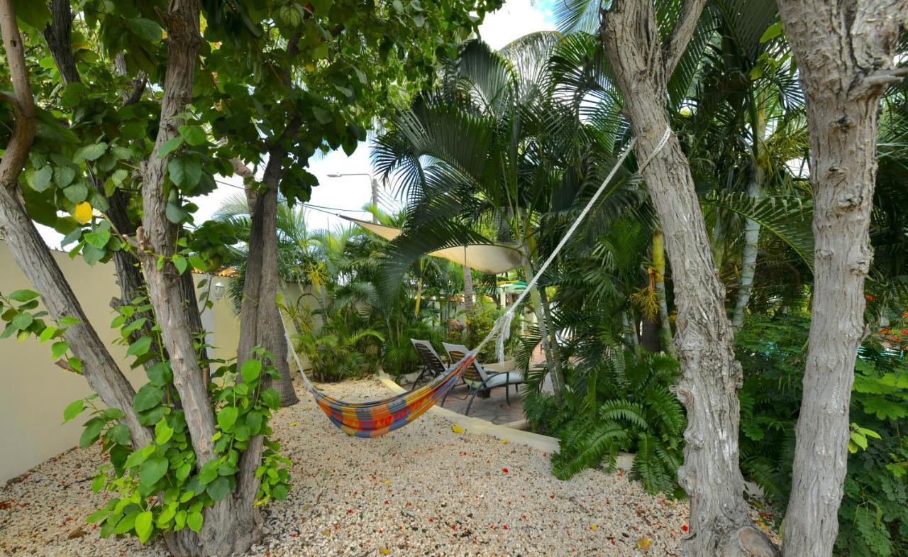 Wonders Boutique Hotel Oranjestad Bagian luar foto