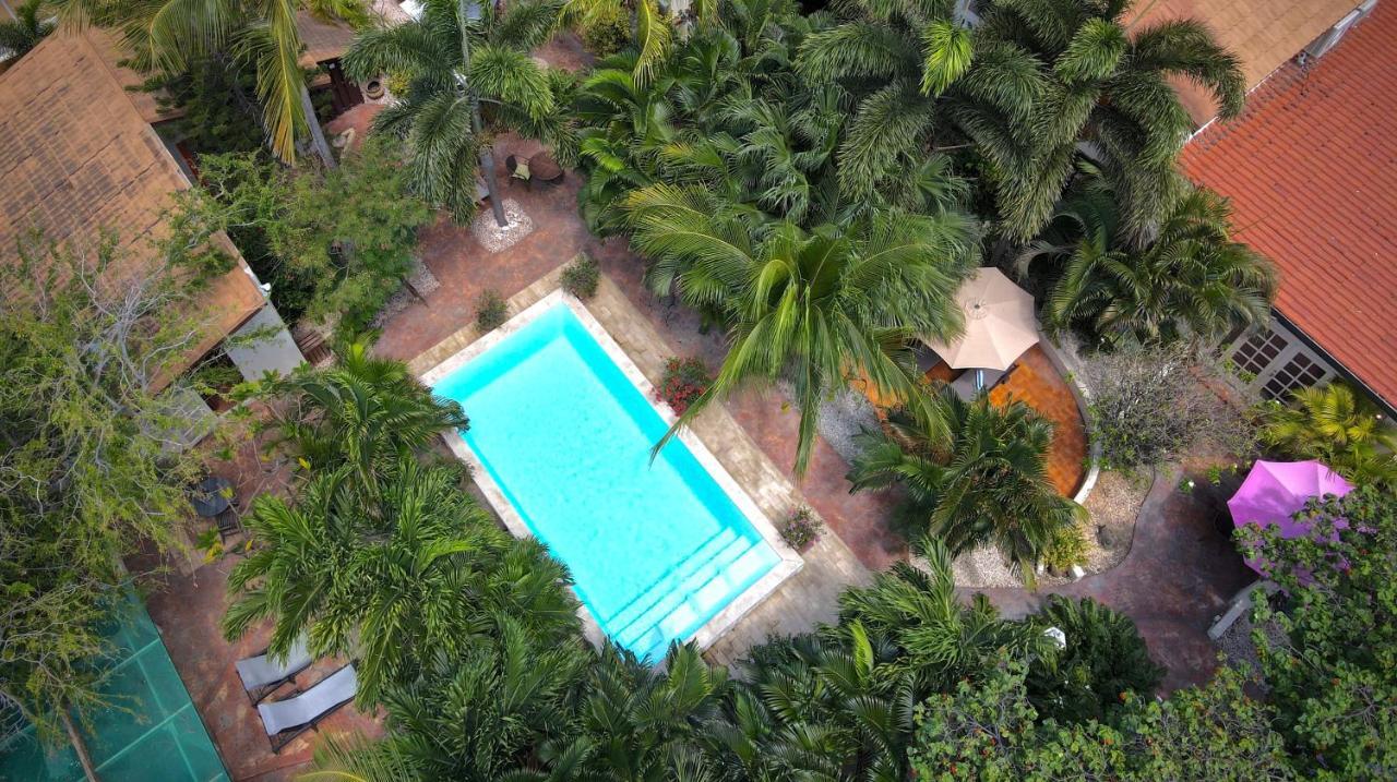 Wonders Boutique Hotel Oranjestad Bagian luar foto