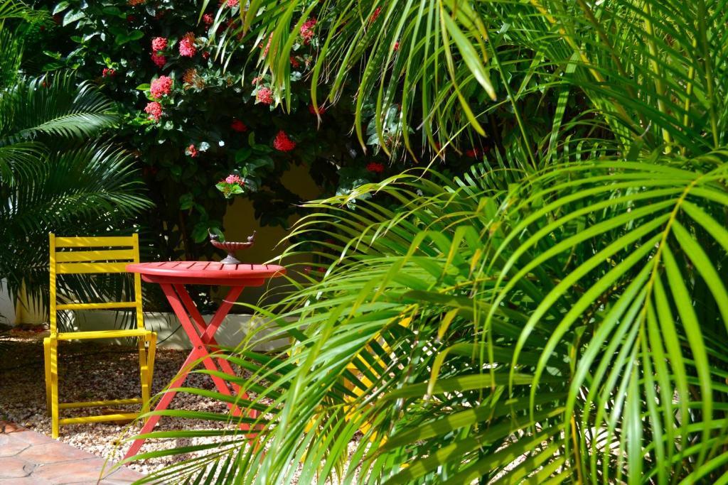 Wonders Boutique Hotel Oranjestad Bagian luar foto